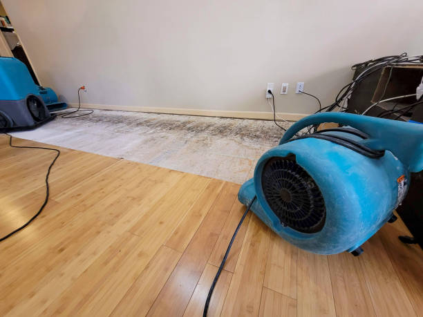 Professional Water Damage Repair technician working in Elmore, AL